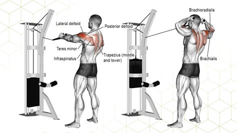 2. Seated Dumbbell Rear Fly (3 sets of 8-10 reps) · Sit at the end of the bench with a dumbbell in each hand. · Tilt your body forward to a 45-degree angle.